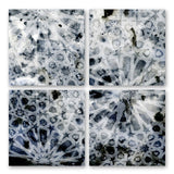 Sirocco - 4 Panels