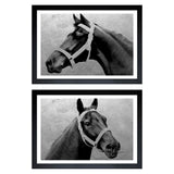 Winning Horse 2-Piece Set