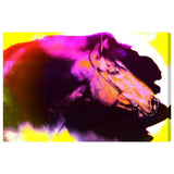 Absorbed Neon By Carson Kressley