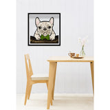 Elegant Frenchman Moss Live Art