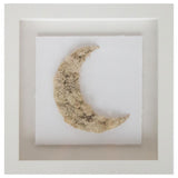 Moss Moon II