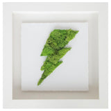 Moss  Lightning