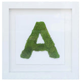 The Letter G Nature
