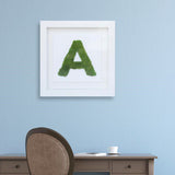 The Letter G Nature