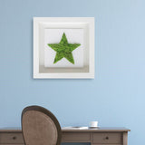 Star Moss