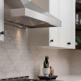 30 Inch 750 CFM Wall Mount Range Hood - VICTORY Twister