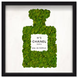 Number 5 Moss Live Art