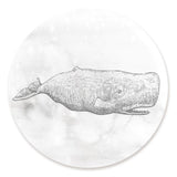 Blue Whale