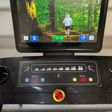 SFE X19 Commercial Treadmill with Touchscreen (New)