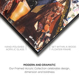 Katy Hirschfeld - Urban Glam Fro - Framed Acrylic Art