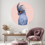 Blue Exotic Cackatoo Round - Acrylic panel