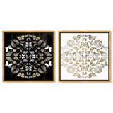 Butterfly Dream SET - Displayed in a Floating Frame