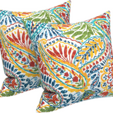 2 Pack Outdoor Throw Pillows (18x18 Inch)