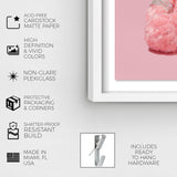 Teddy The Bae Pink - Displayed in a shadowbox