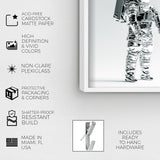 ASTROMAN SET - Displayed in a shadowbox