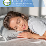 Restonic ComfortCare Hybrid Euro Top Plush King Mattress