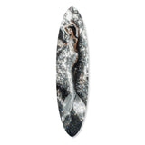 Siren Sanctum | Surfboard Gallery Wall