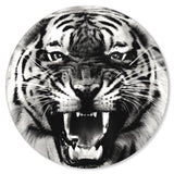 Wild Tiger - Round Acrylic Art