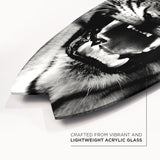 Wild Tiger Skimboard