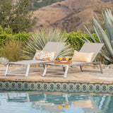 Myers Modern Chaise Lounge Set With Adjustable Back