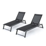 Myers Modern Chaise Lounge Set With Adjustable Back
