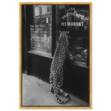 Meaty Mischief II - Framed Acrylic Art