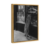 Meaty Mischief II - Framed Acrylic Art