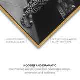 Meaty Mischief II - Framed Acrylic Art