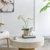 Unique Capiz Coffee Table & Pedestal Base
