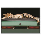 Sleepy Cadi Cheetah