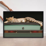 Sleepy Cadi Cheetah