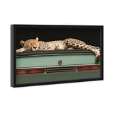 Sleepy Cadi Cheetah