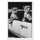 Convertible Feline II
