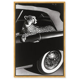 Convertible Feline I