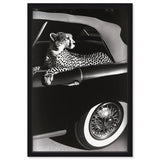 Convertible Feline I