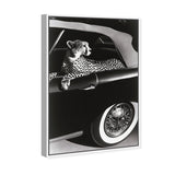 Convertible Feline I