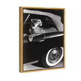 Convertible Feline I