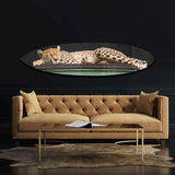 Sleepy Cadi Cheetah Surfboard