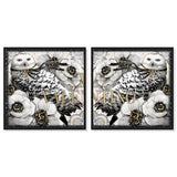 Glam Owl set