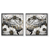 Glam Owl set