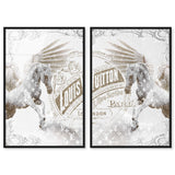 Double vision set