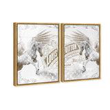 Double vision set