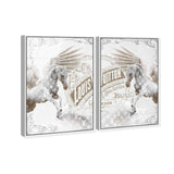 Double vision set