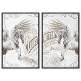 Double vision set