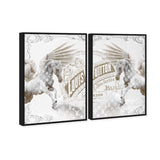 Double vision set