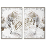 Double vision set