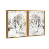 Double vision set