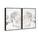 Double vision set
