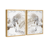 Double vision set