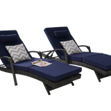 Outdoor Wicker Reclining Chair Set of 2 with Cushions